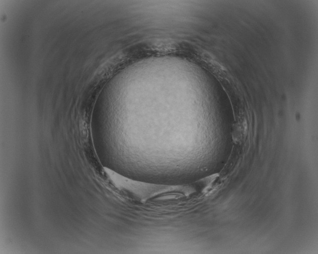 X0000067830609200604271556