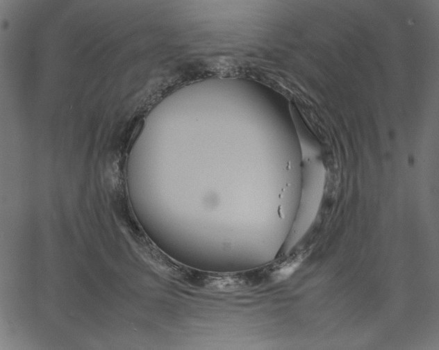 X0000067830611200604271556