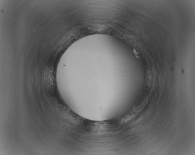 X0000067830612200604271556