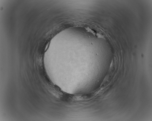 X0000067830613200604271556