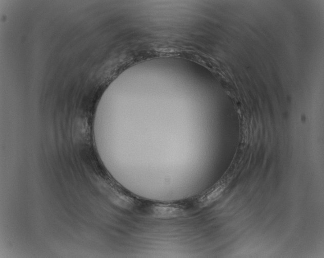 X0000067830614200604271556