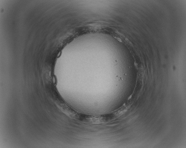 X0000067830615200604271556