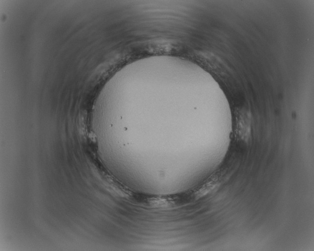 X0000067830616200604271556