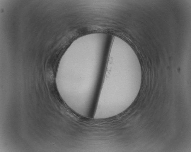 X0000067830617200604271556