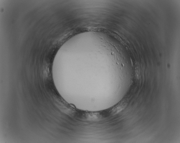 X0000067830618200604271556