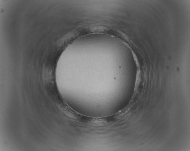 X0000067830619200604271556