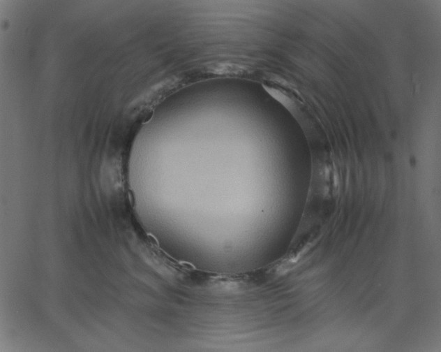 X0000067830620200604271556