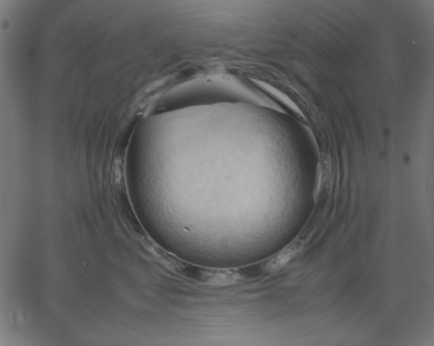 X0000067830621200604271556