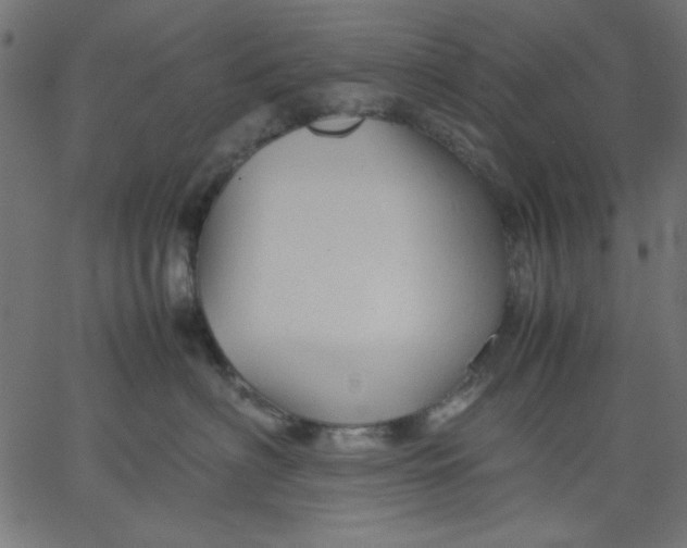 X0000067830622200604271556