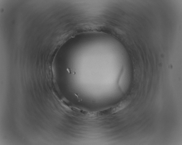 X0000067830624200604271556