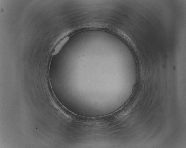 X0000067830625200604271555