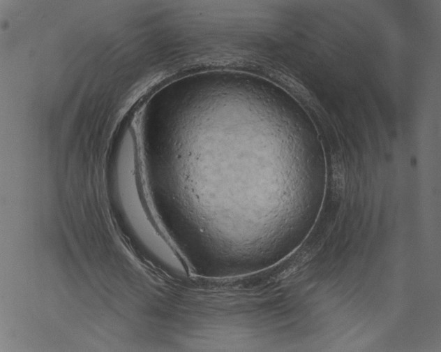 X0000067830626200604271555