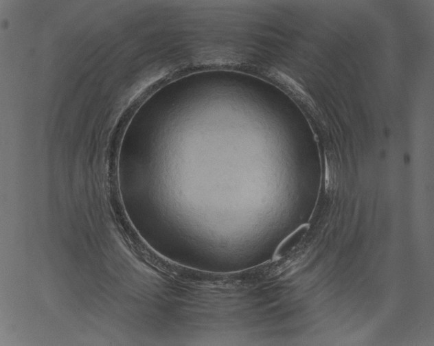 X0000067830627200604271555