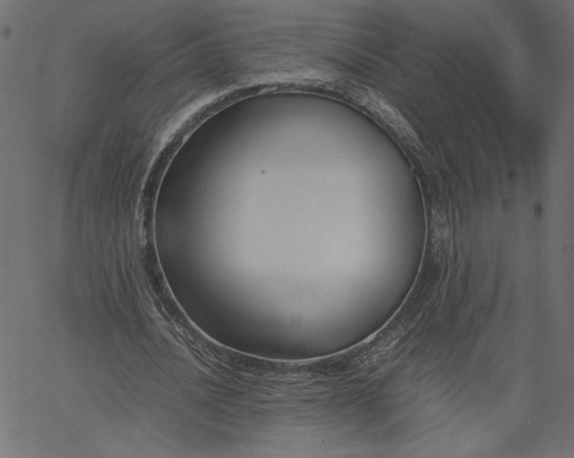 X0000067830628200604271555