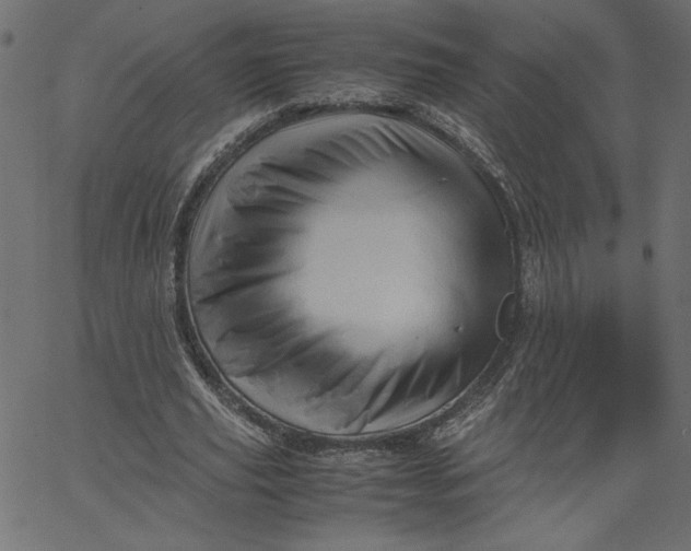 X0000067830629200604271555