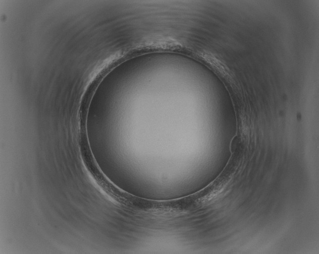 X0000067830630200604271555