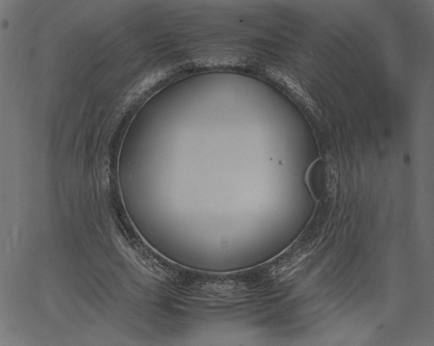 X0000067830631200604271555