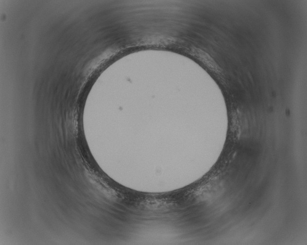 X0000067830632200604271555