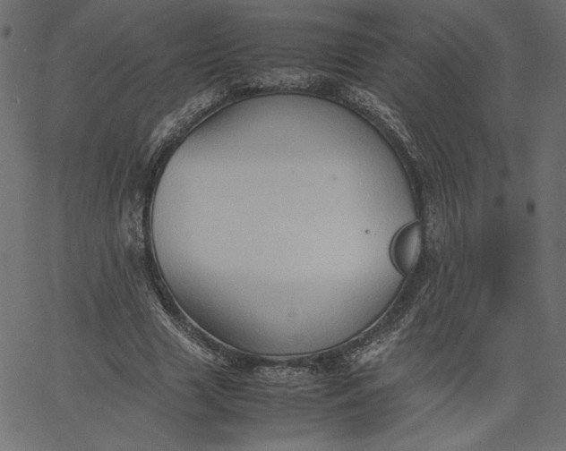 X0000067830633200604271555