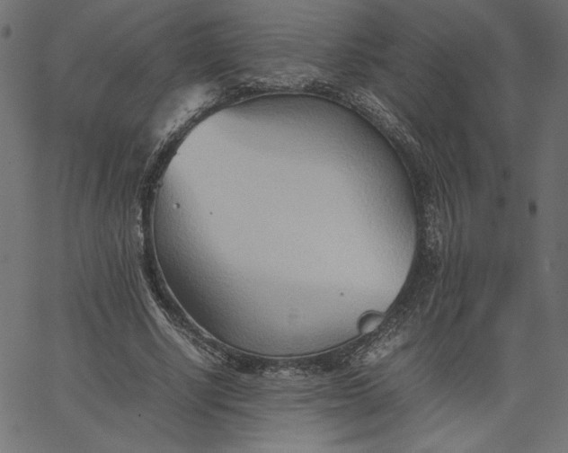 X0000067830634200604271555