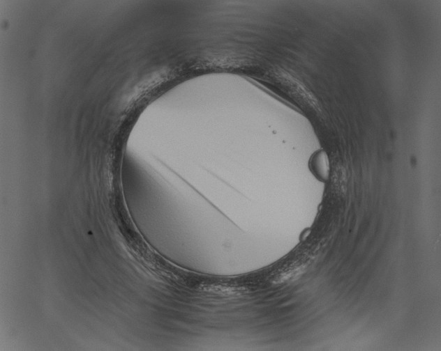 X0000067830635200604271555