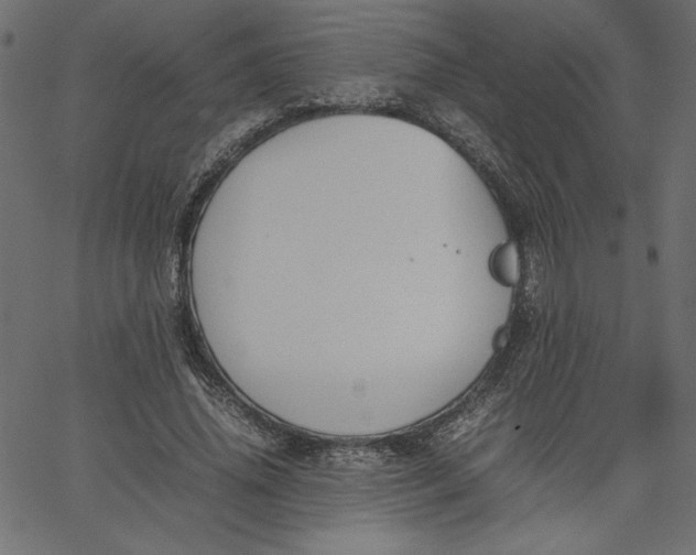 X0000067830636200604271555