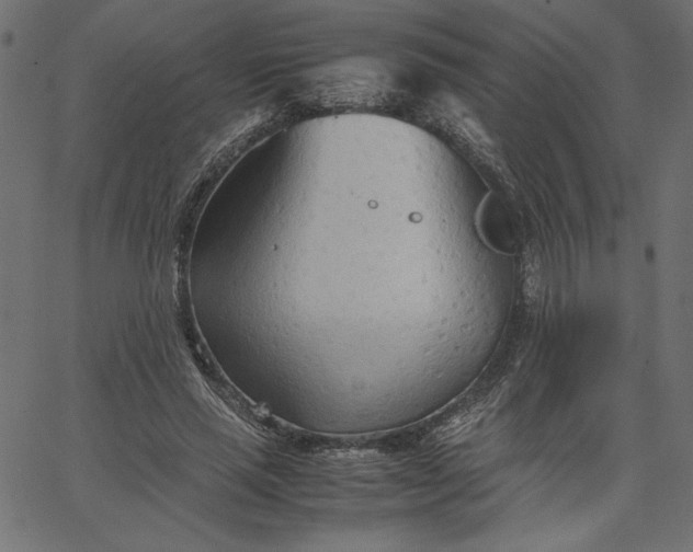 X0000067830637200604271555