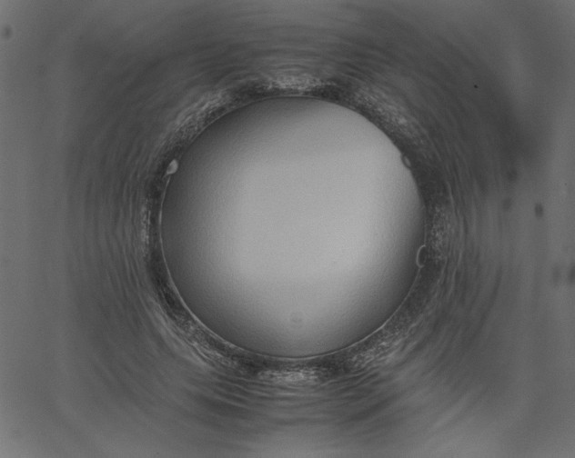 X0000067830639200604271555