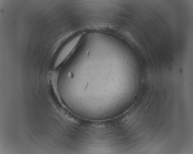 X0000067830640200604271555