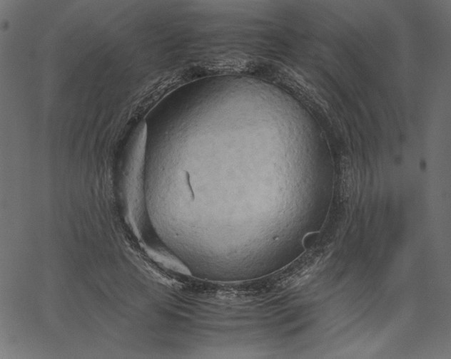 X0000067830641200604271555