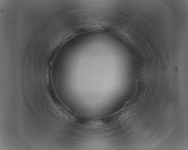 X0000067830642200604271555