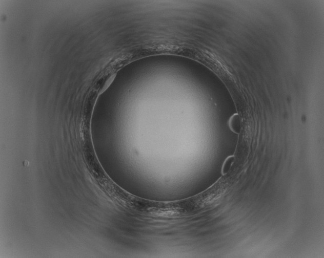 X0000067830643200604271555