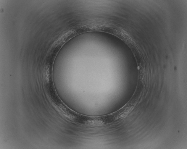 X0000067830644200604271555