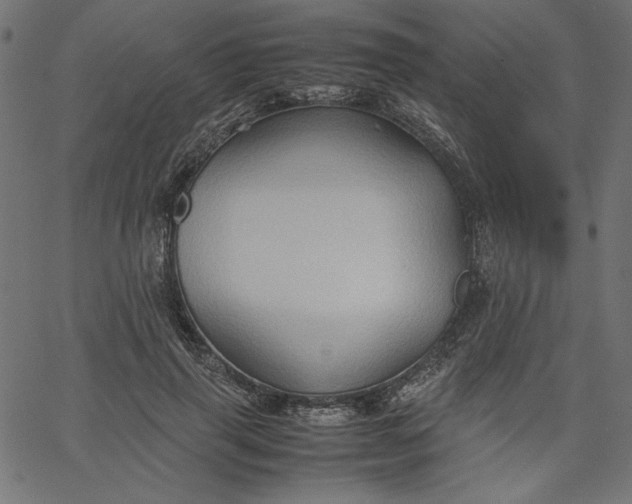 X0000067830645200604271555