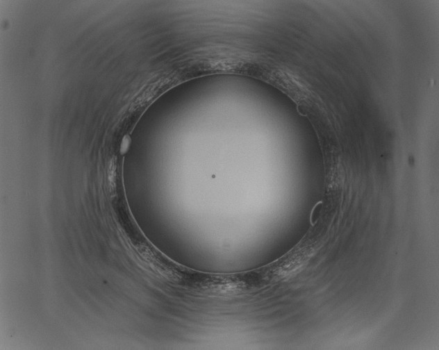 X0000067830646200604271555