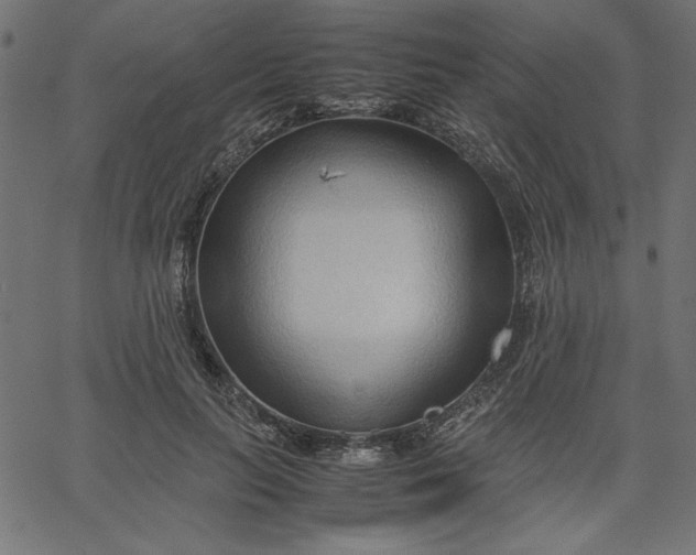 X0000067830647200604271555