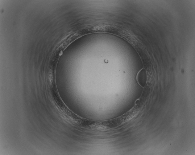 X0000067830648200604271555