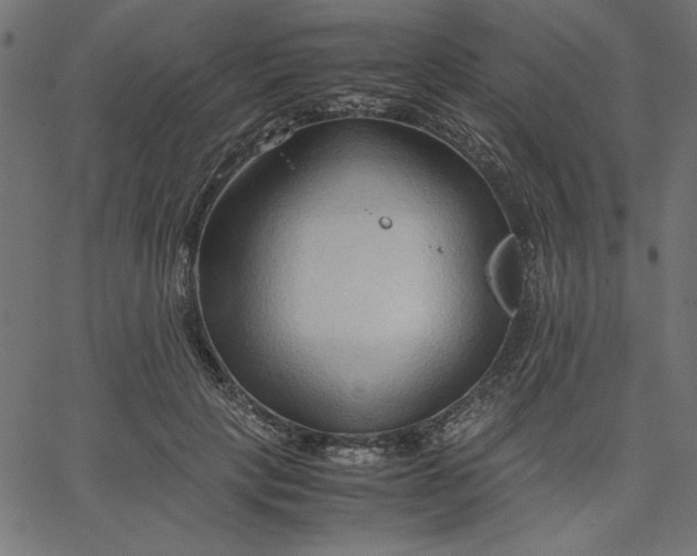 X0000067830649200604271555