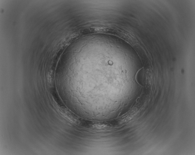 X0000067830650200604271555