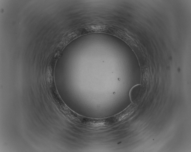 X0000067830651200604271555