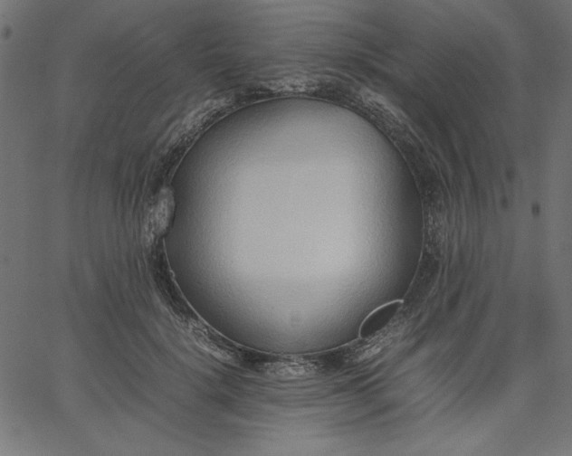 X0000067830652200604271555