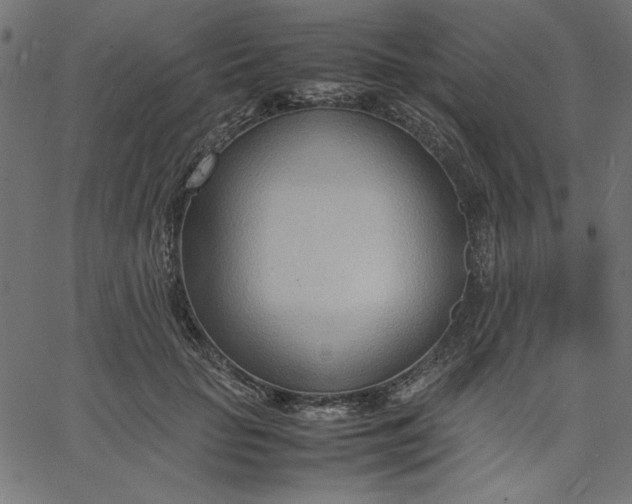 X0000067830653200604271555