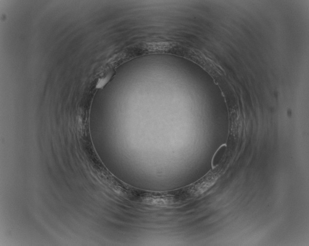 X0000067830655200604271555