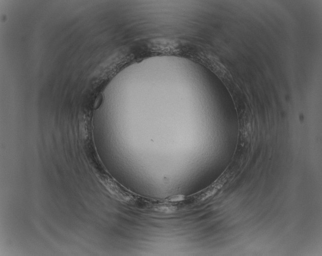 X0000067830658200604271556