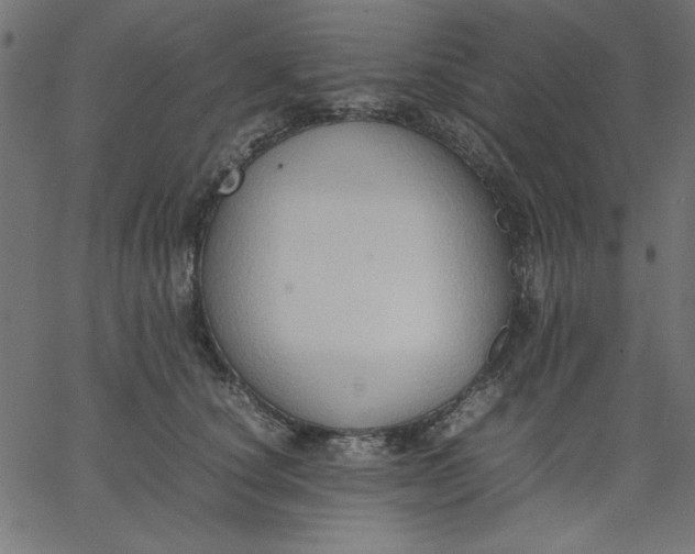 X0000067830660200604271556