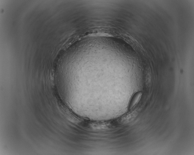 X0000067830661200604271556