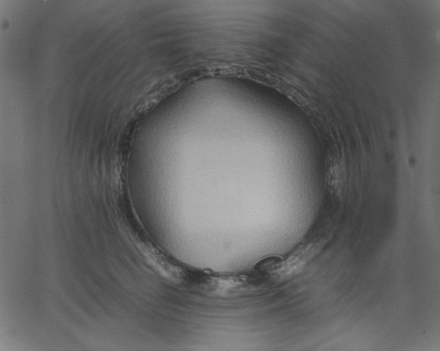 X0000067830662200604271556