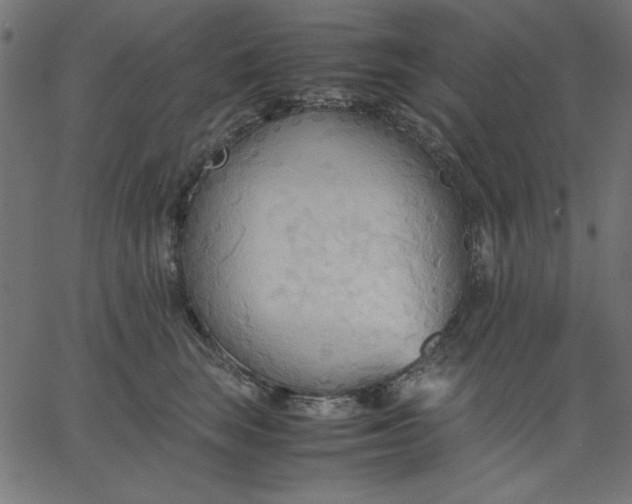 X0000067830663200604271556