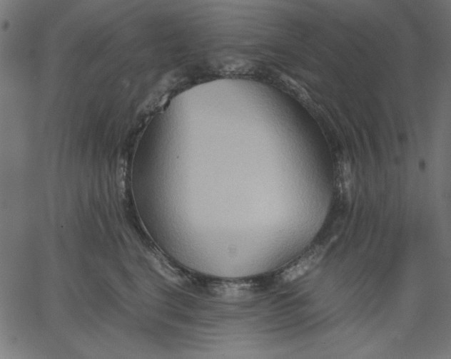 X0000067830664200604271556