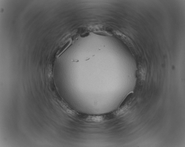 X0000067830665200604271556